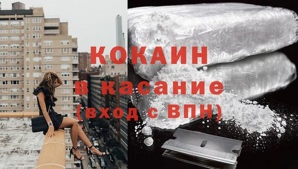 спайс Гусь-Хрустальный