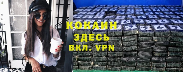 спайс Гусь-Хрустальный