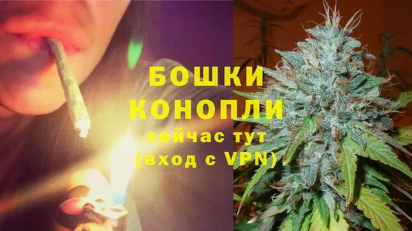 spice Гусиноозёрск