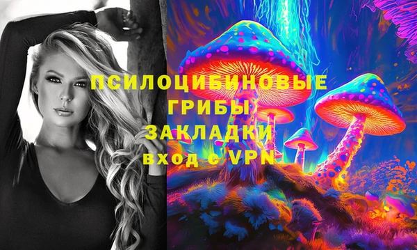 спайс Гусь-Хрустальный