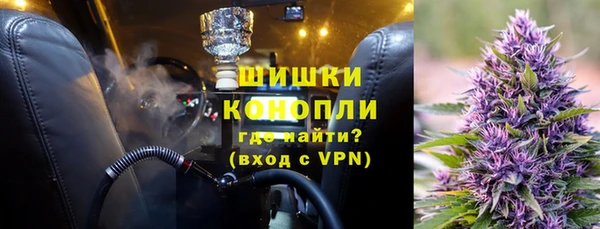 spice Гусиноозёрск