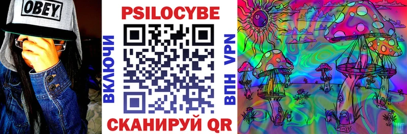 Купить где  Пласт  Псилоцибиновые грибы ЛСД 